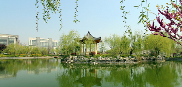 枣庄科技职业学院 - 最美大学