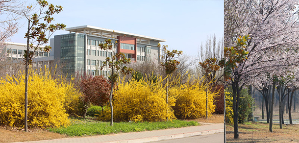 枣庄科技职业学院 - 最美大学