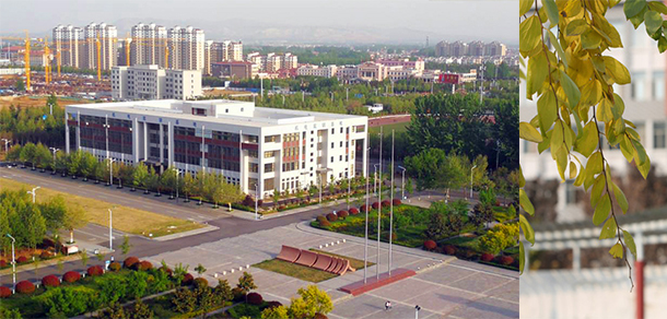 枣庄科技职业学院 - 最美大学