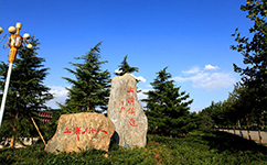 历史沿革（概）校史