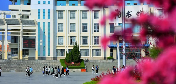 我的大學-大学志