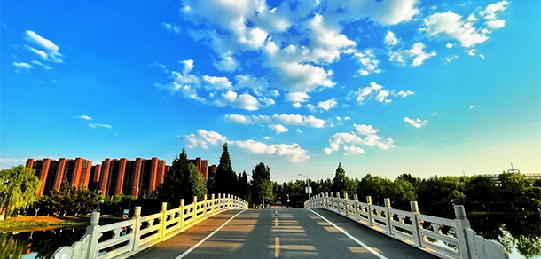 我的大學-大学志