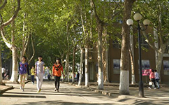 招生公告 · 招生简章 · 招生计划