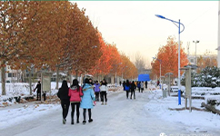 菏泽家政职业学院 - 我的大学