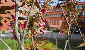 山东传媒职业学院-校园风光