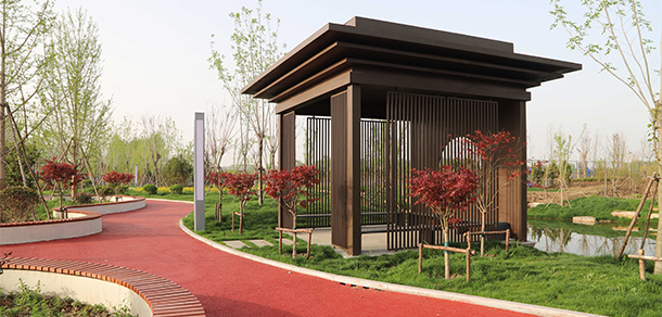 我的大學-大学志