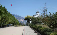 文化标识：校名题写 / 校徽设计