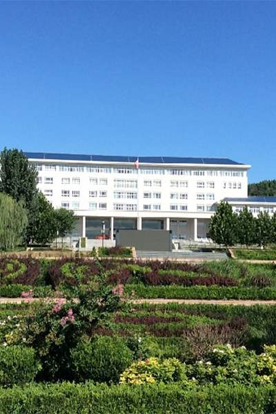 泰山护理职业学院