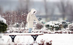 文化标识：校名题写 / 校徽设计