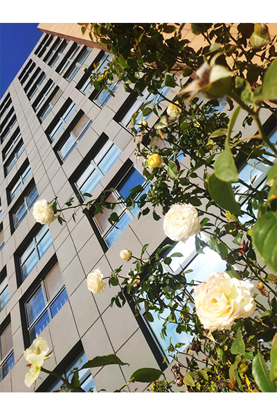 山东海事职业学院