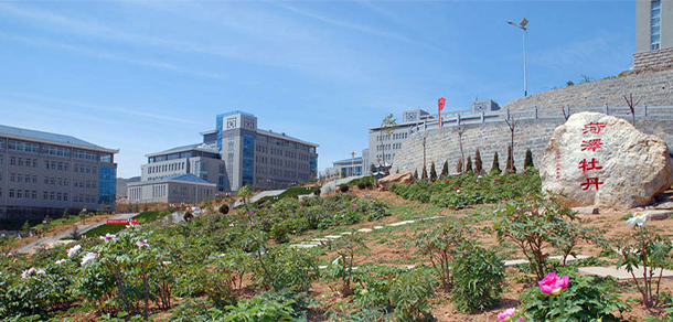 潍坊护理职业学院 - 最美大学