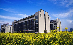 历史沿革（概）校史