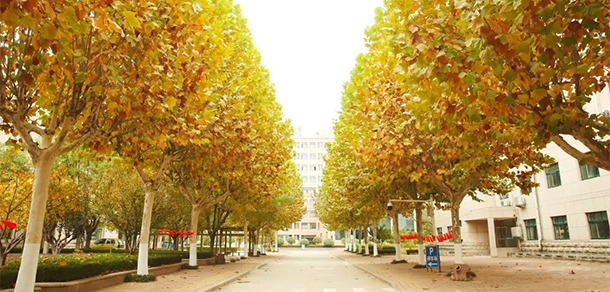 山东特殊教育职业学院 - 最美大学