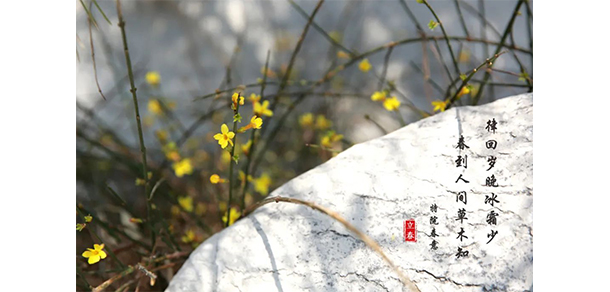 山东特殊教育职业学院 - 最美大学