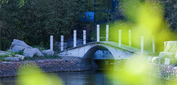 我的大學-大学志