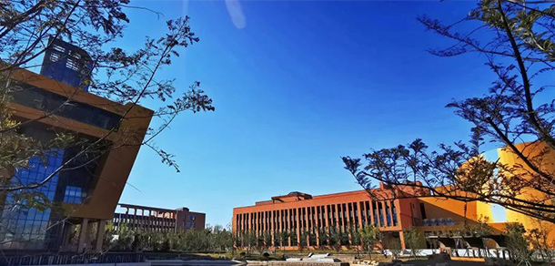 我的大學-大学志