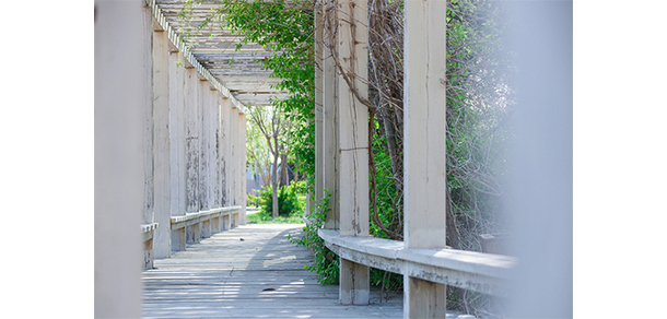 我的大學-大学志