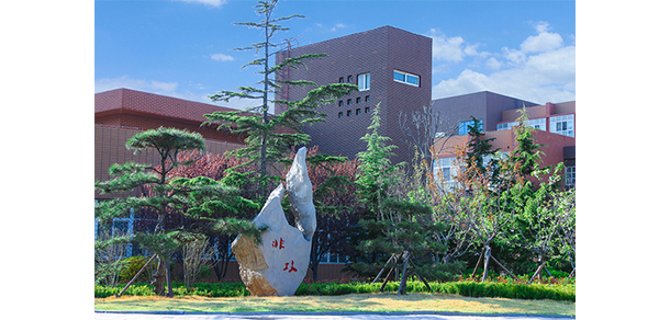 我的大學-大学志