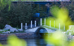 文化标识：校名题写 / 校徽设计