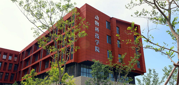 临沂科技职业学院 - 最美大学