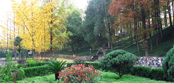 我的大學-大学志