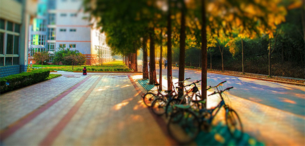 我的大學-大学志