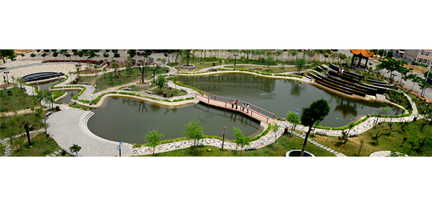 我的大學-大学志