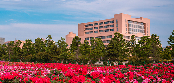 南阳师范学院 - 最美大学