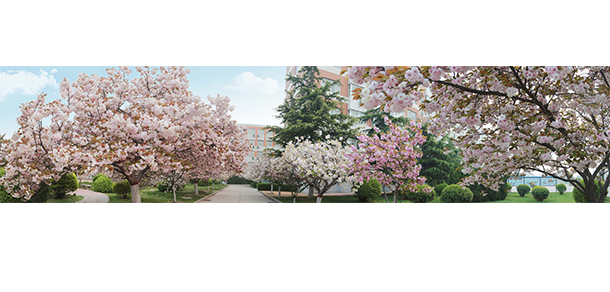 安阳工学院 - 最美大学