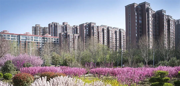 河南工程学院-我的大學，我的流金歲月