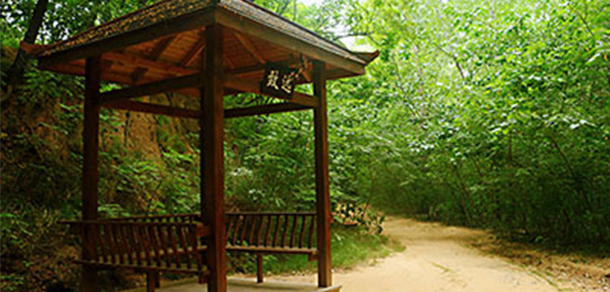 我的大學-大学志