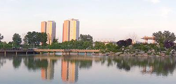 我的大學-大学志