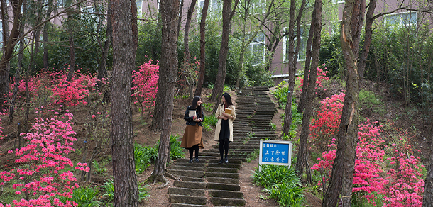 信阳学院 - 最美大学
