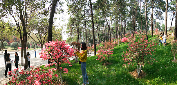 信阳学院 - 最美大学