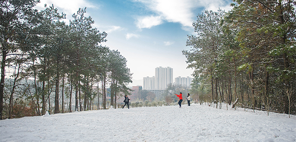 信阳学院 - 最美大学