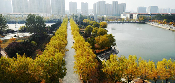 郑州经贸学院 - 最美大学