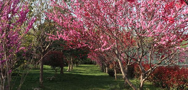 河南科技职业大学 - 最美大学