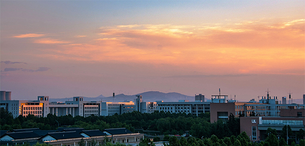 河南科技大学 - 最美大学