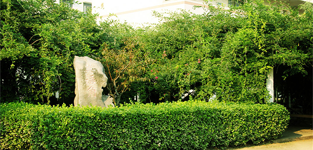 我的大學-大学志