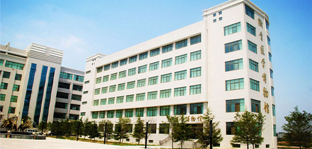 我的大學-大学志