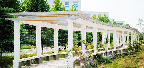 我的大學-大学志