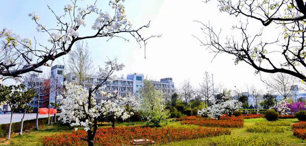 我的大學-大学志