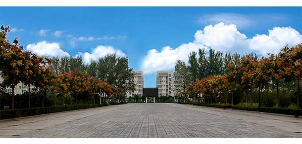 我的大學-大学志