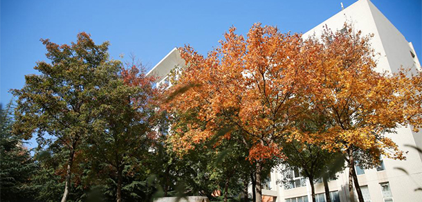 中原工学院 - 最美大学