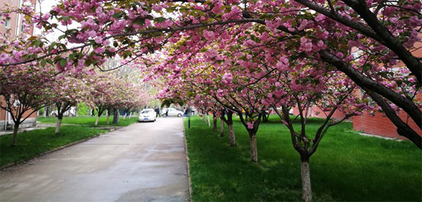 中原工学院 - 最美大学
