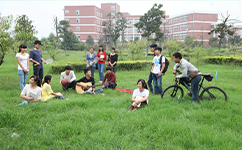 河南工业职业技术学院 - 我的大学