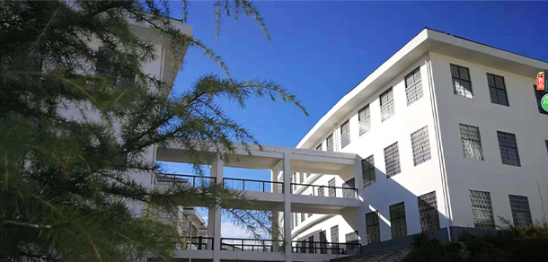 嵩山少林武术职业学院 - 最美大学