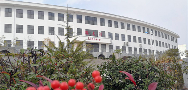 嵩山少林武术职业学院 - 最美大学