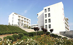 嵩山少林武术职业学院 - 我的大学