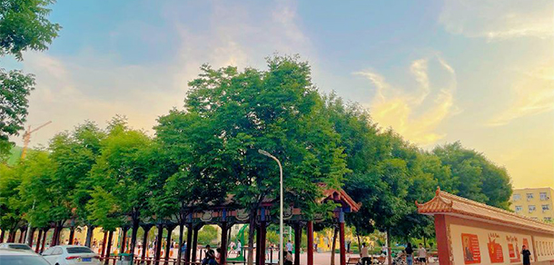 郑州电力职业技术学院 - 最美大学